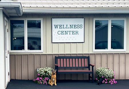 York Animal Hospital Wellness Center