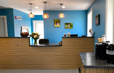 Preventive Care at York Animal Hospital